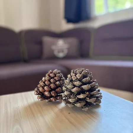 Oleron Nature & Calme, Piscine, A 150m 3*